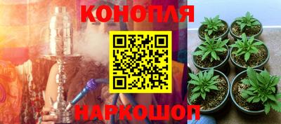 круглые Славгород