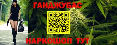 шишки Ставрополь