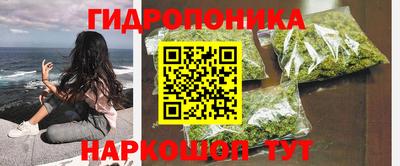круглые Славгород