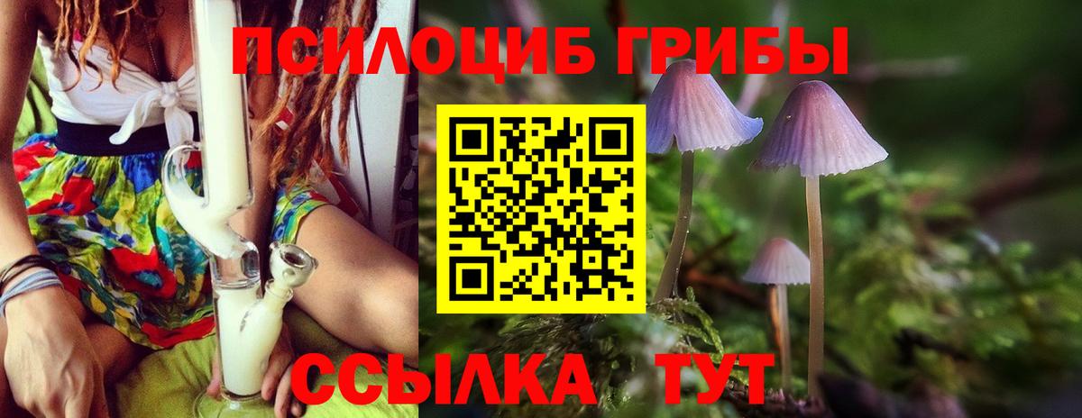 Можайск  Псилоцибиновые грибы Magic Shrooms  Вход с VPN 